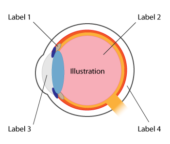 illustration diagram